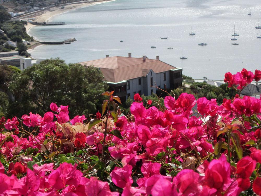 Apartament El Mirador Simonʼs Town Zewnętrze zdjęcie