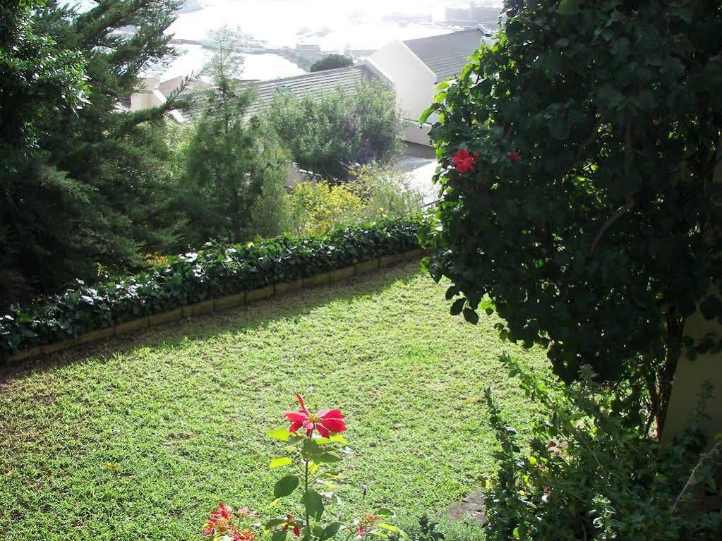 Apartament El Mirador Simonʼs Town Zewnętrze zdjęcie